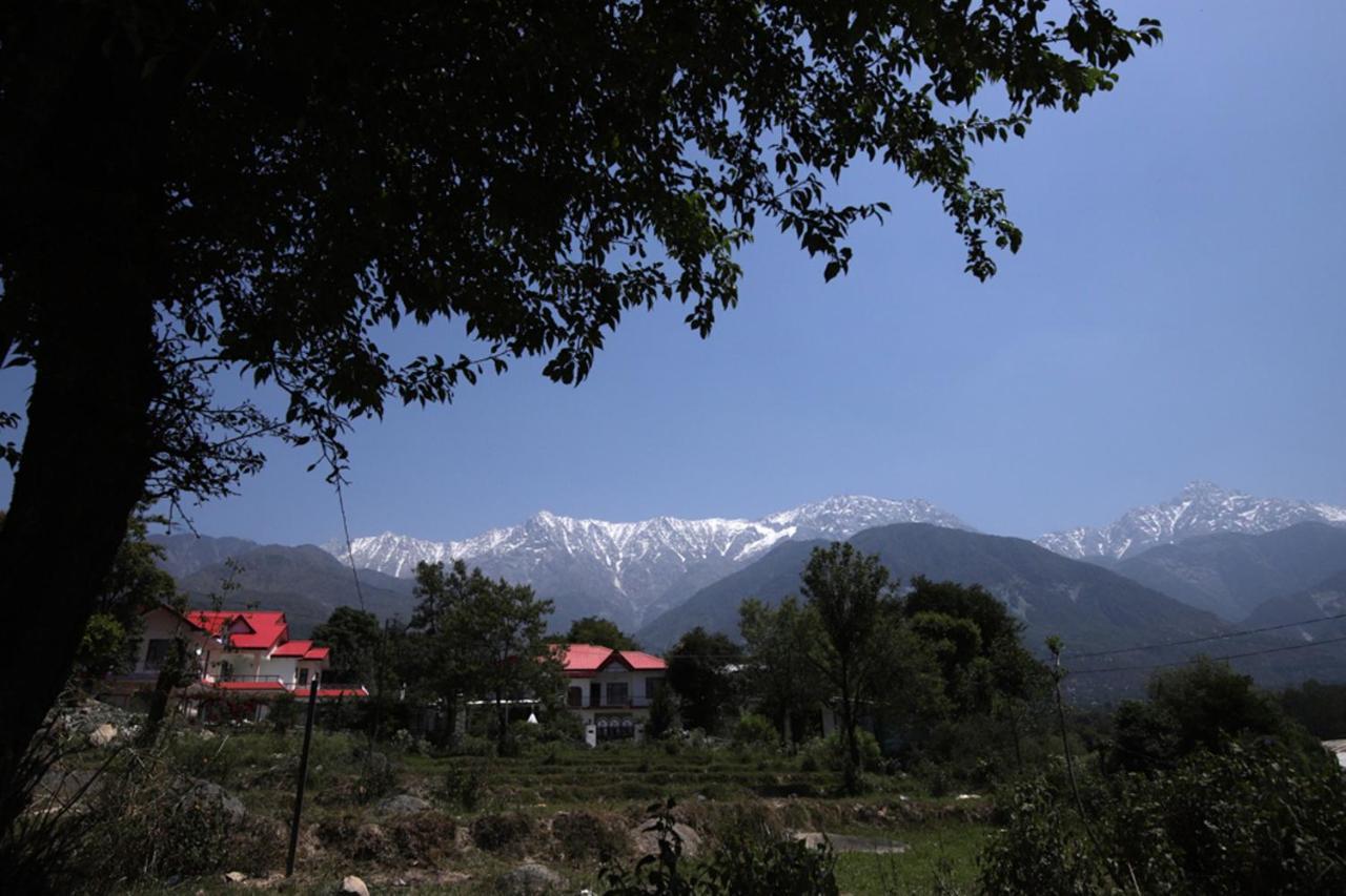 Harmony Blue Mcleodganj Ξενοδοχείο McLeod Ganj Εξωτερικό φωτογραφία